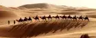 03 Days Morocco Sahara Desert  Tours